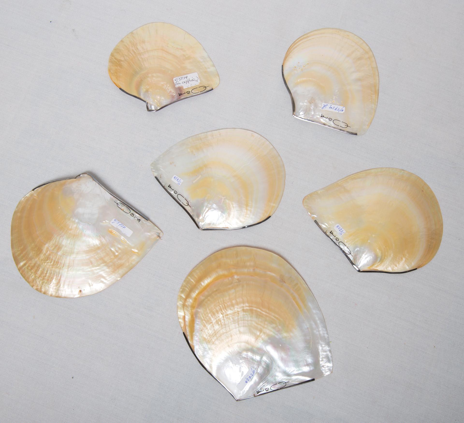Plates Made of Polished Mother of Pearl and Silver In Excellent Condition In Alessandria, Piemonte