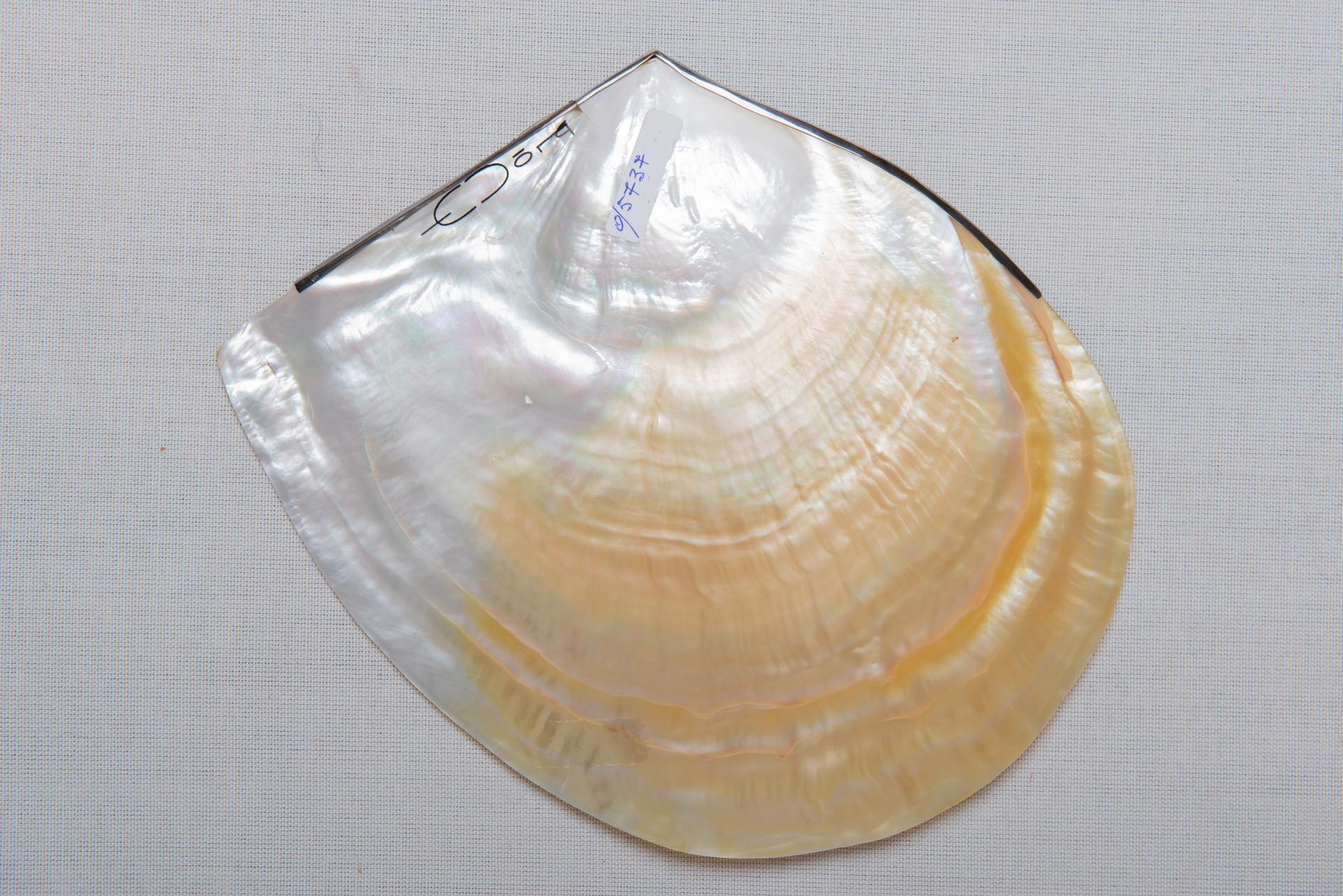 Contemporary Plates Made of Polished Mother of Pearl and Silver