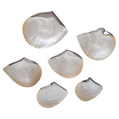 Plates Made of Polished Mother of Pearl and Silver