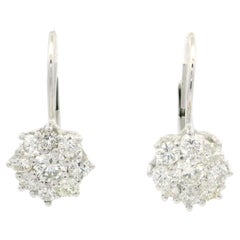 Drop Earrings