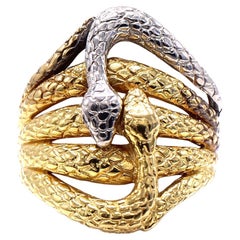 Anillo Serpiente Platino 18 Kilates Oro Amarillo