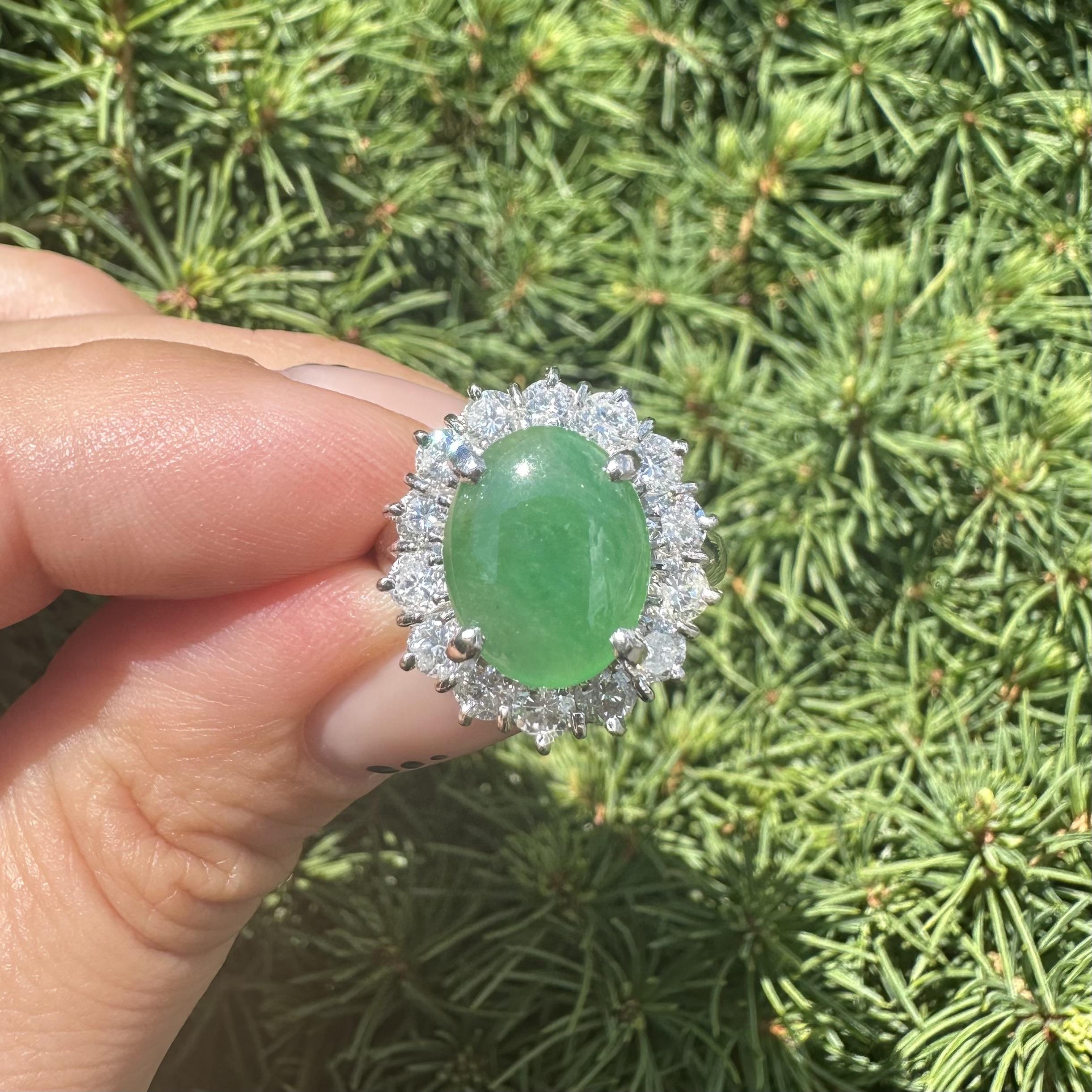 Anello cocktail in platino con giada verde ovale da 4,75 carati e diamanti a raggiera in vendita 7