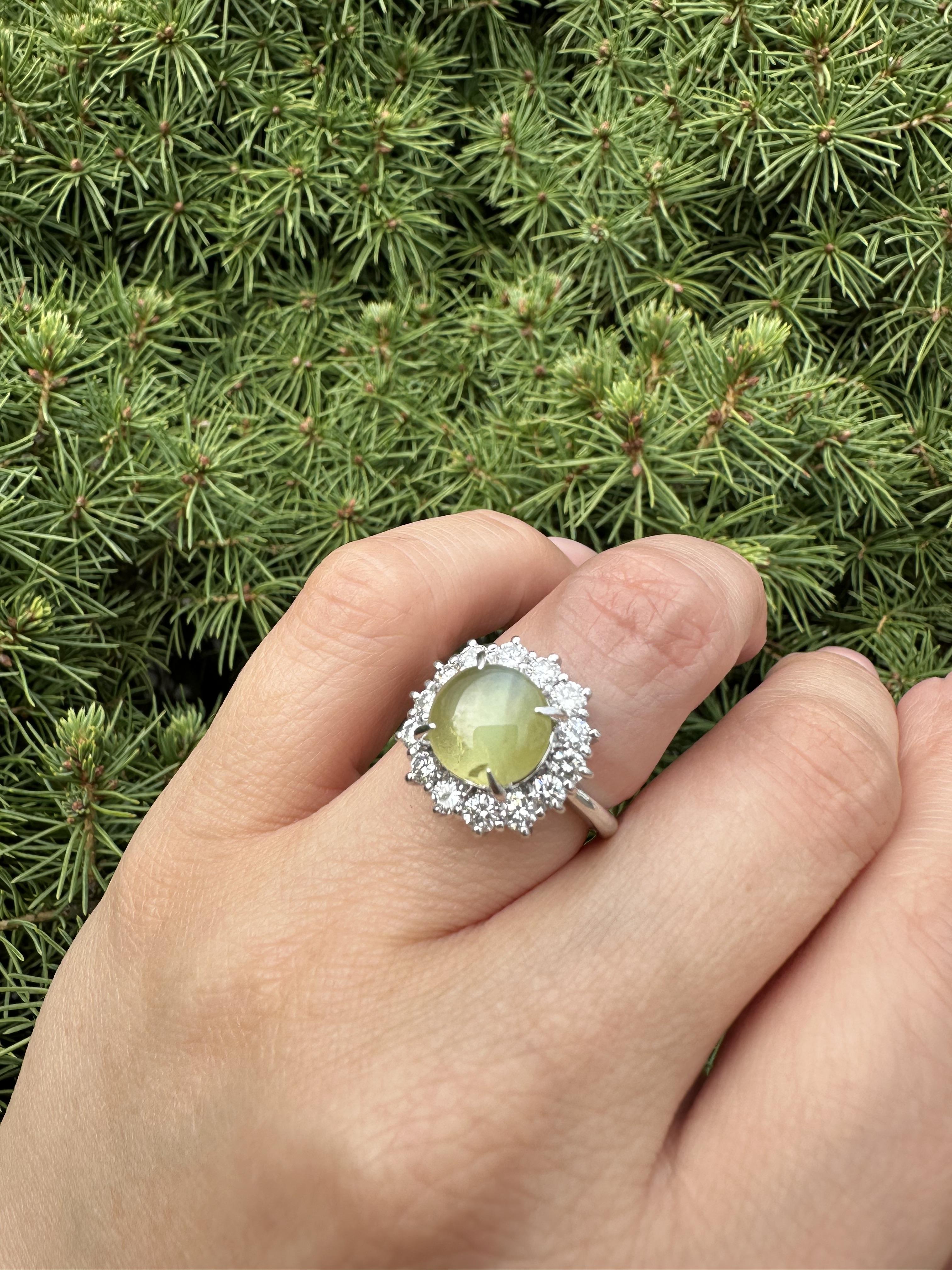 Anello in platino con occhio di gatto cabochon rotondo con diamante a raggiera da 5,71 ct. in vendita 9