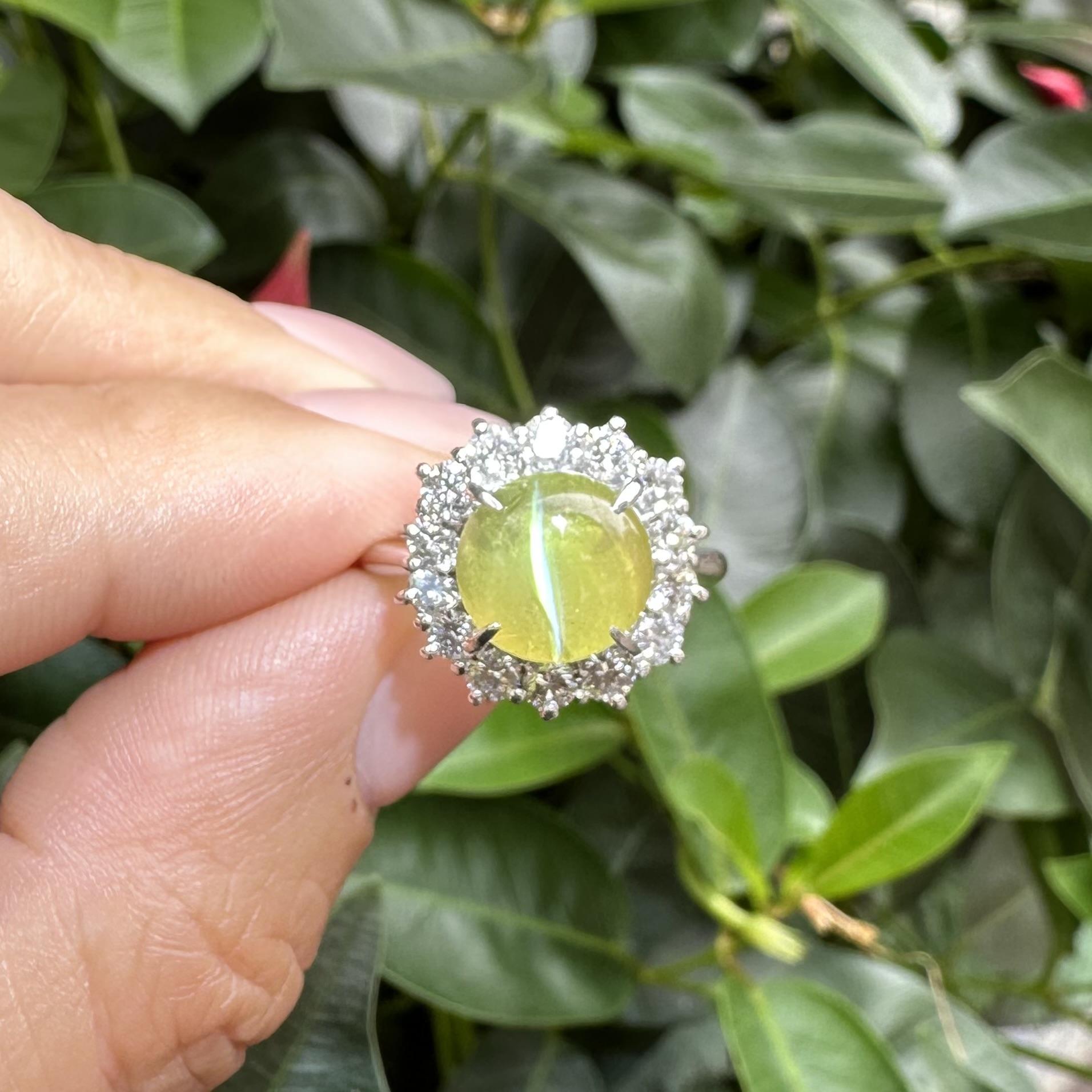 Anello in platino con occhio di gatto cabochon rotondo con diamante a raggiera da 5,71 ct. in vendita 10