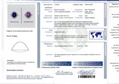 Platinum AGL 15.79ctw No Heat Color Change Star Sapphire w/ Diamond Halo Ring