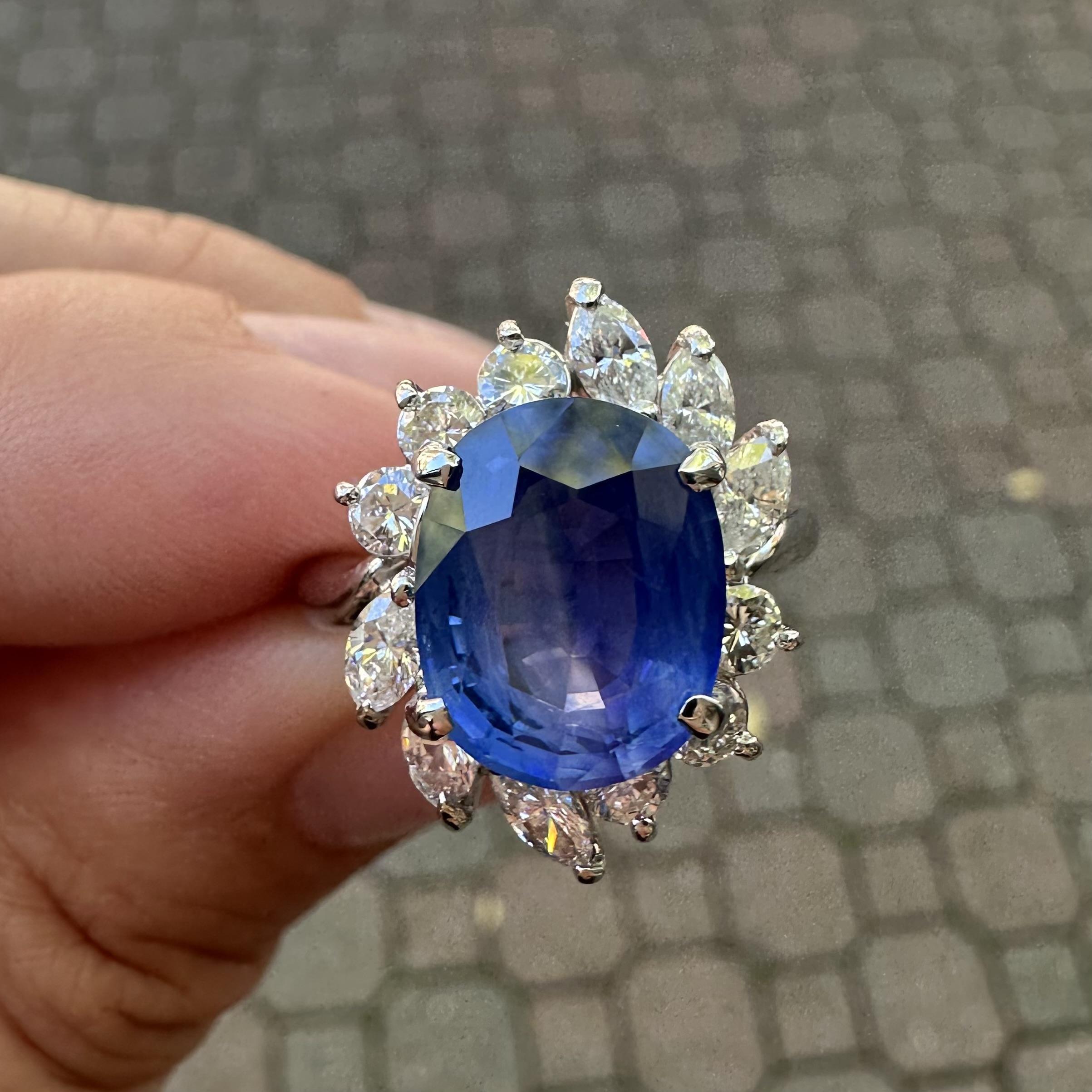 Platin AGL 6,82ctw Ceylon Seidig Samtig Blauer Saphir w / Diamant Halo Ring im Angebot 6