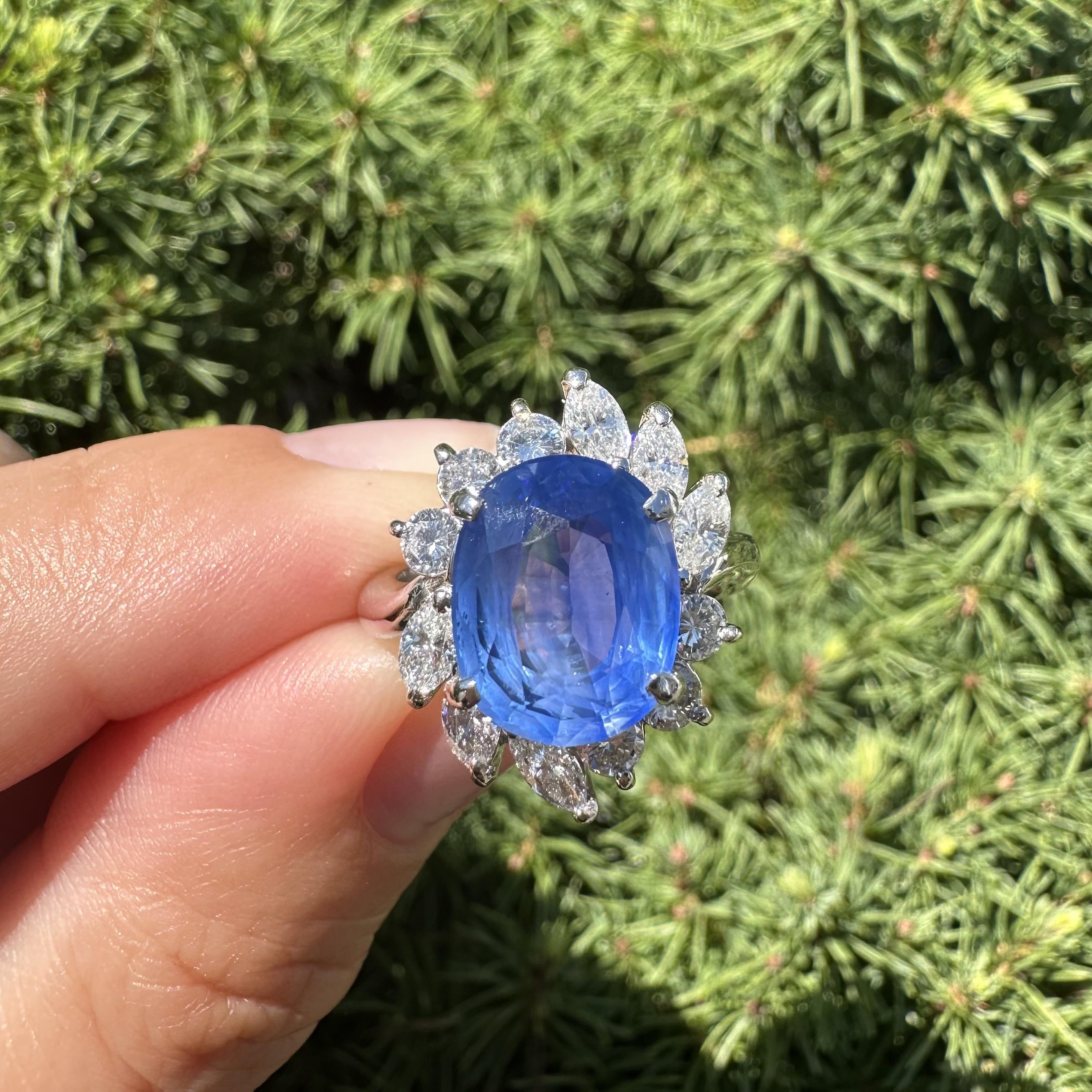 Platin AGL 6,82ctw Ceylon Seidig Samtig Blauer Saphir w / Diamant Halo Ring im Angebot 7
