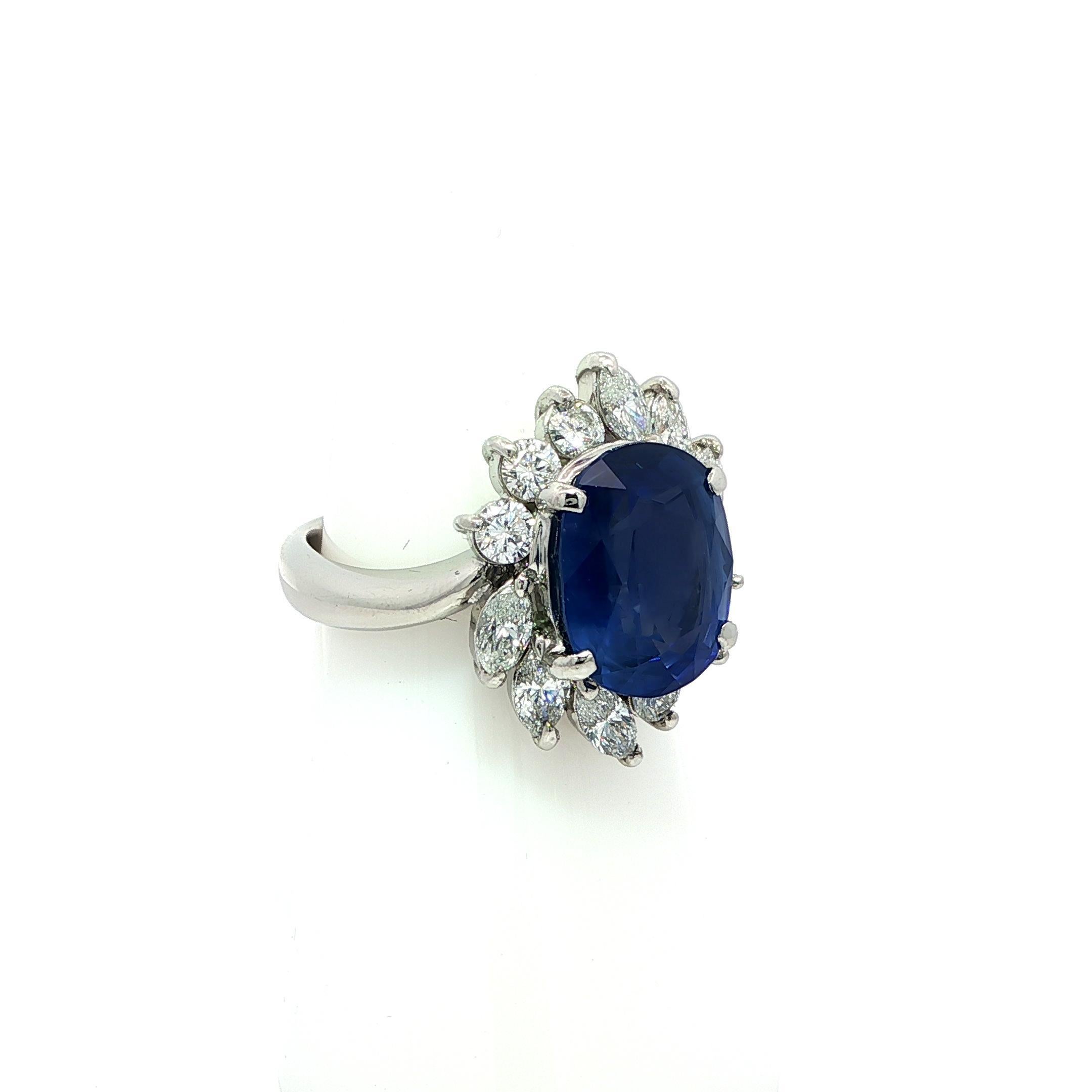 Platin AGL 6,82ctw Ceylon Seidig Samtig Blauer Saphir w / Diamant Halo Ring im Angebot 2