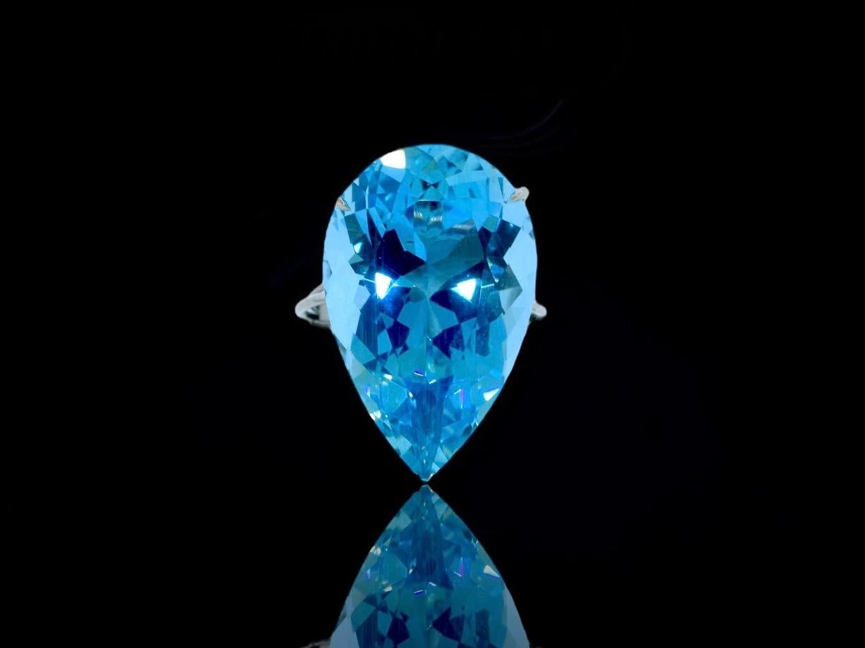 Platinum and Fine 29.31 ct. Santa Maria Aquamarine Ring by Pierre/Famille 5