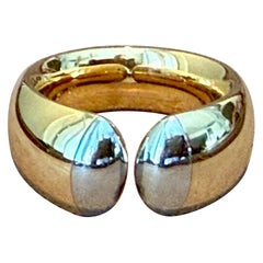 Platinum and yellow Gold Band Ring Georg Hornemann