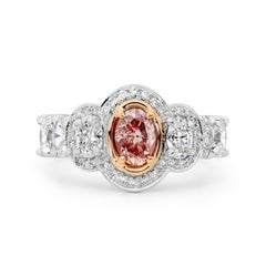 Platinum Australian Argyle Pink Diamond Halo Ring