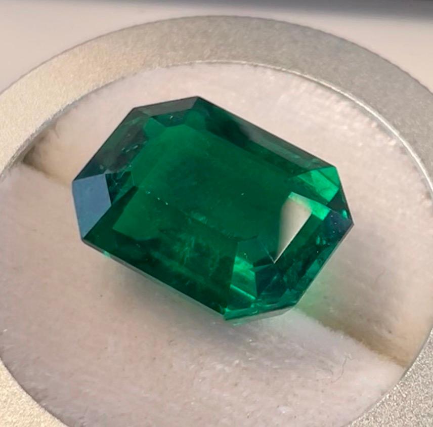 Platinum Awarded, 9.93 Carats Colombian Octagon Cut, Grs Certified Muzo In Excellent Condition For Sale In Hong Kong, HK