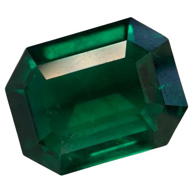 Platinum Awarded, 9.93 Carats Colombian Octagon Cut, Grs Certified Muzo