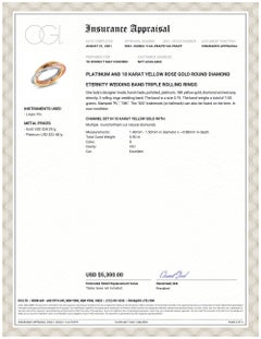Platinum Diamond Band with Two Rolling Rings in Eighteen Karat Gold