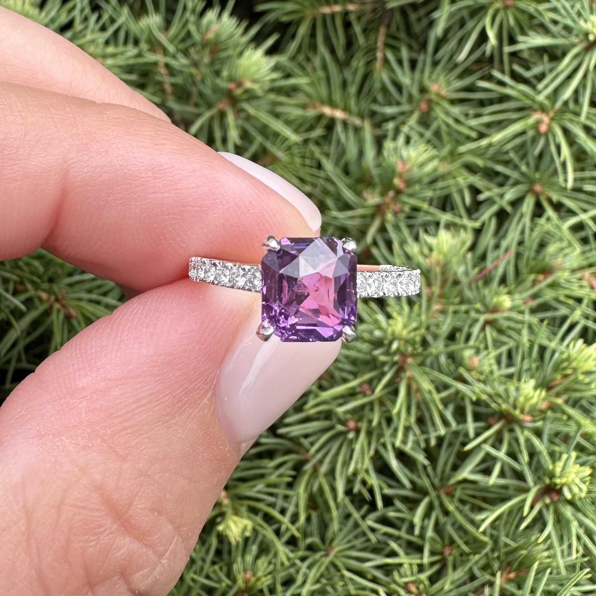 Platin GIA 3,03ct keine Hitze lebendige rosa lila Saphir mit Diamant-Schaft Ring im Angebot 6