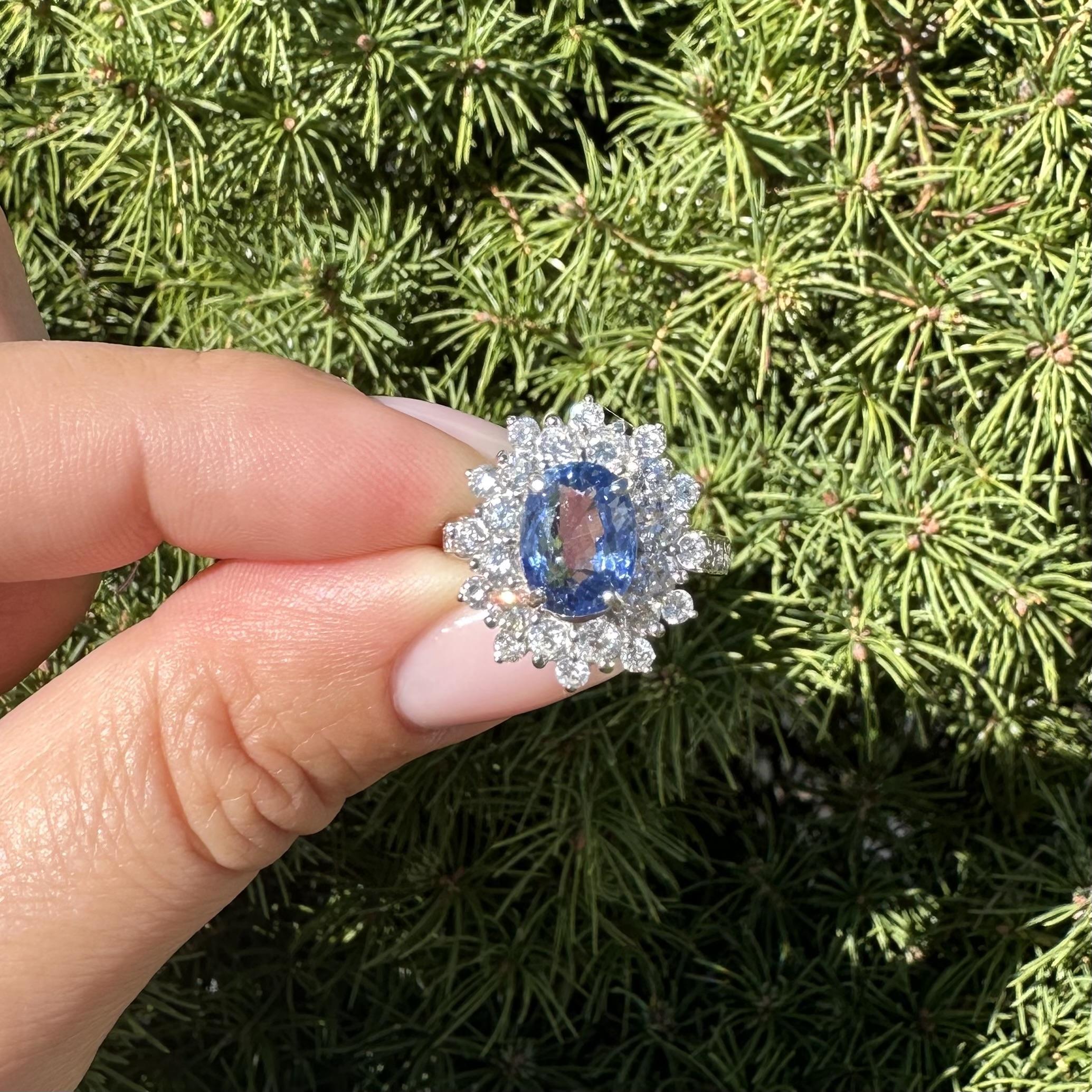 Platin GIA Ceylon Kornblume Blauer Saphir Diamant Doppel Halo Cluster Ring im Angebot 7