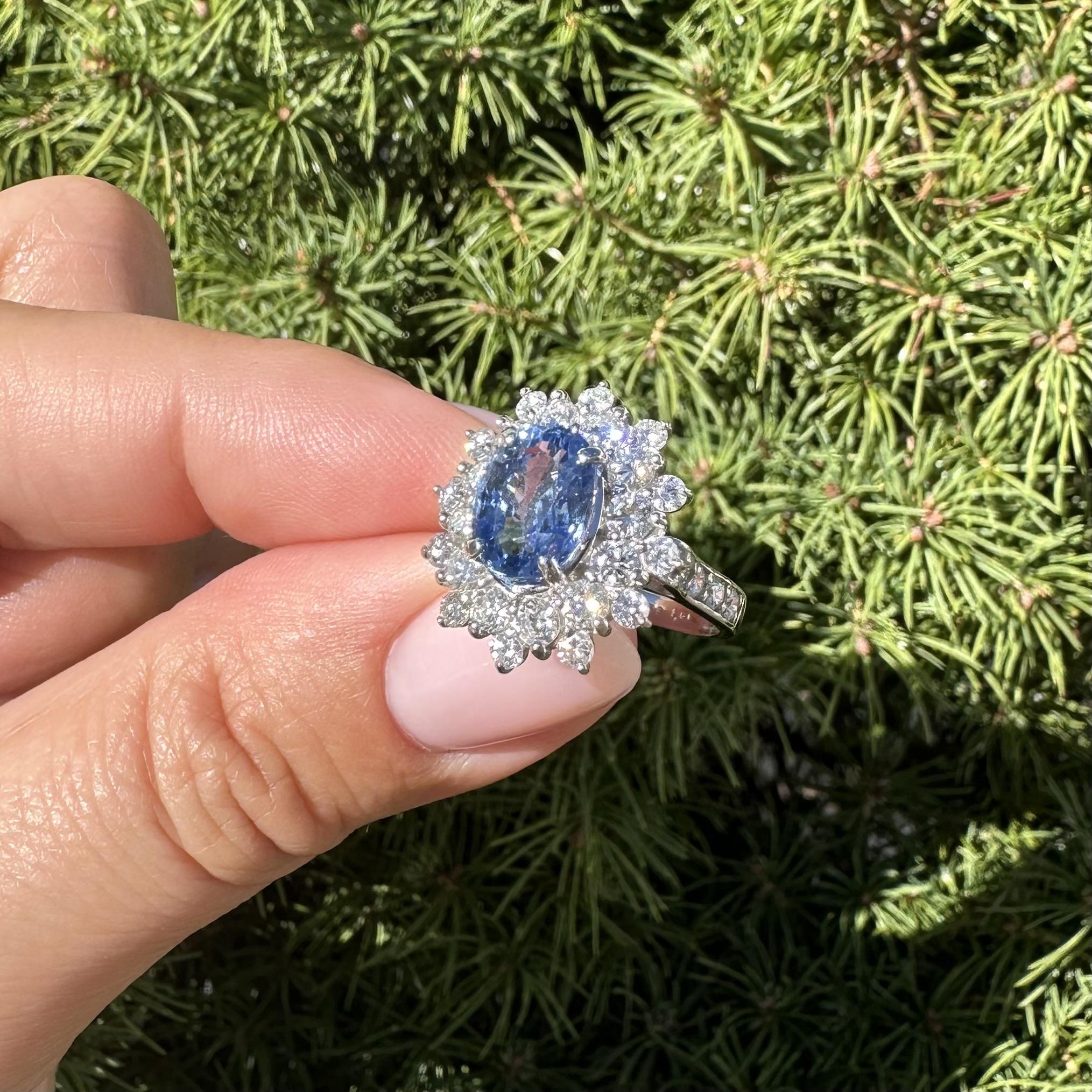 Platin GIA Ceylon Kornblume Blauer Saphir Diamant Doppel Halo Cluster Ring im Angebot 8