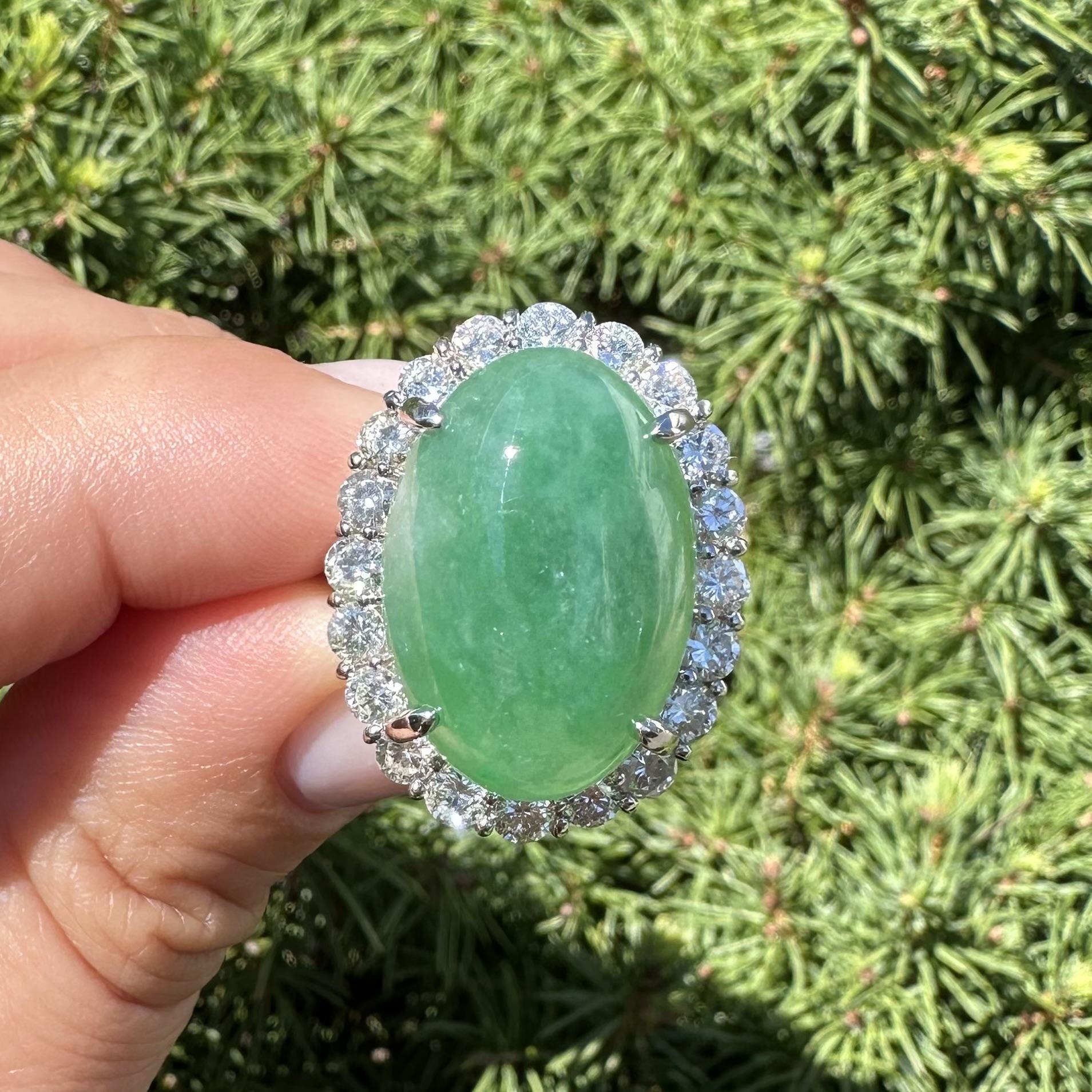 Platin große GIA 24,03ctw Burma Grün A Jade w / Diamant Halo schweren Ring im Angebot 10
