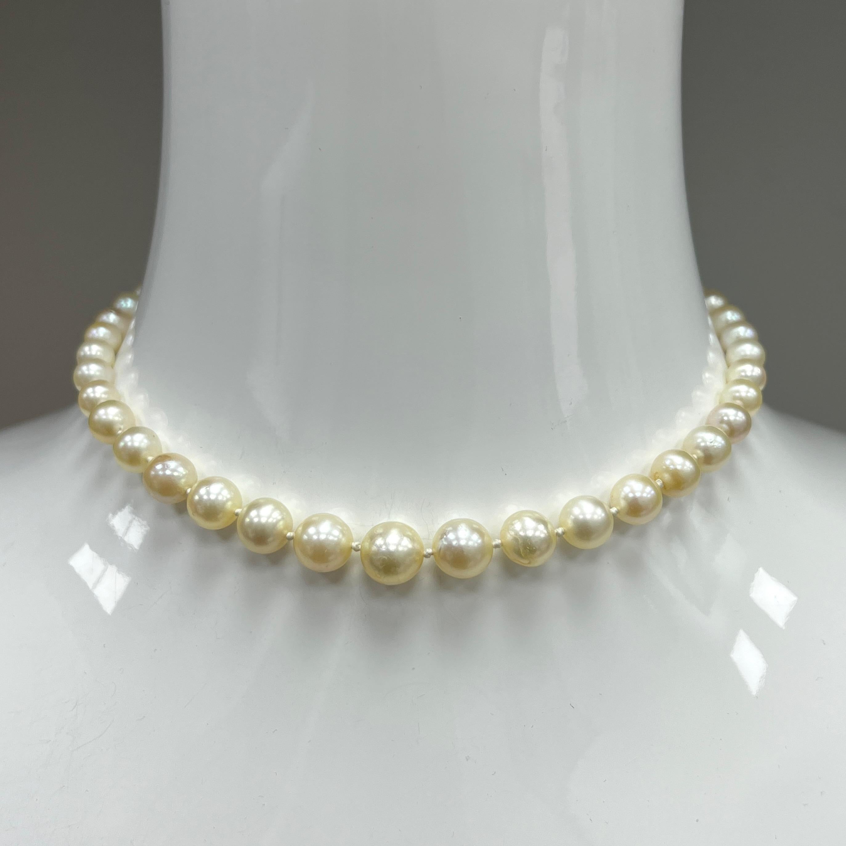 Halskette aus Platin mit Perlen und Diamanten im Angebot 2