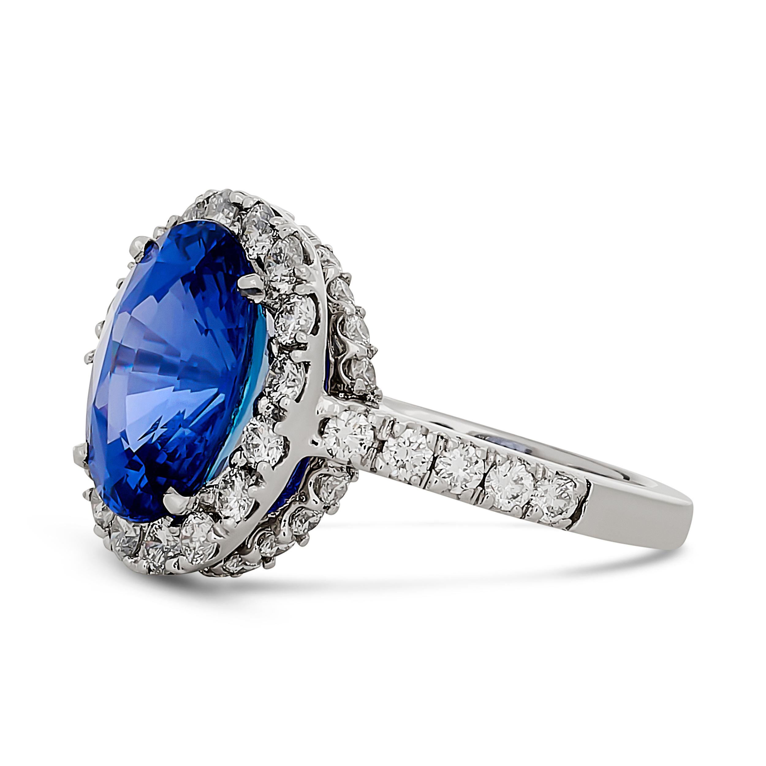 Anillo de platino con halo y pavé de zafiro calentado y diamantes de Sri Lanka en Excelente estado para la venta en Philadelphia, PA