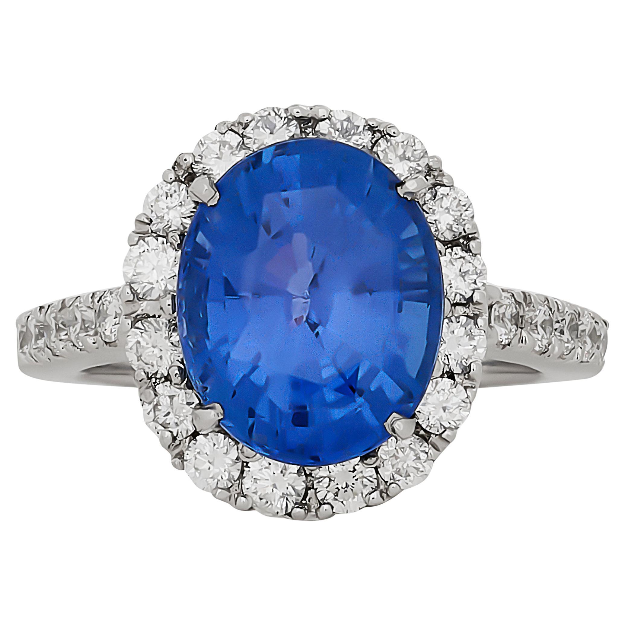 Anillo de platino con halo y pavé de zafiro calentado y diamantes de Sri Lanka en venta