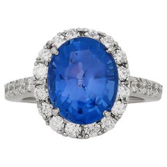 Platinum Sri Lanka Heated Sapphire and Diamond Halo and Pave Band Ring