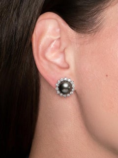 Platinum Tahitian Pearl Diamond Halo Earrings 5.60 Carats