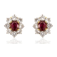 Platinuum & 18k Rubin Ohrringe