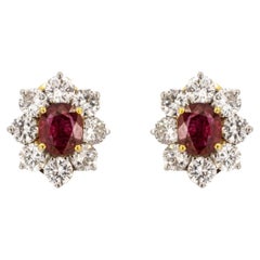 Platinuum & 18k Rubin Ohrringe