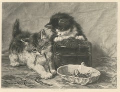 "Playful Exploration" - Cats and Kittens by Henriette Ronner (1894)