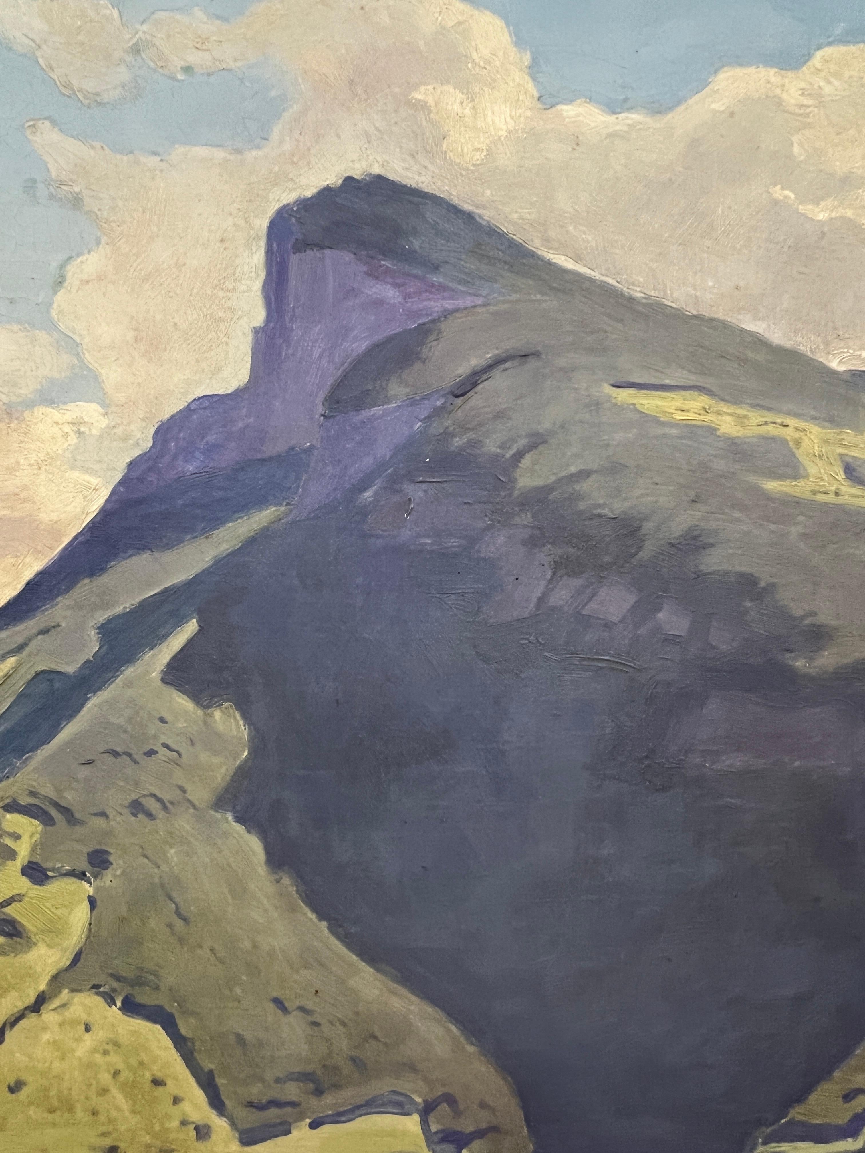 Paisaje lacustre en venta 4