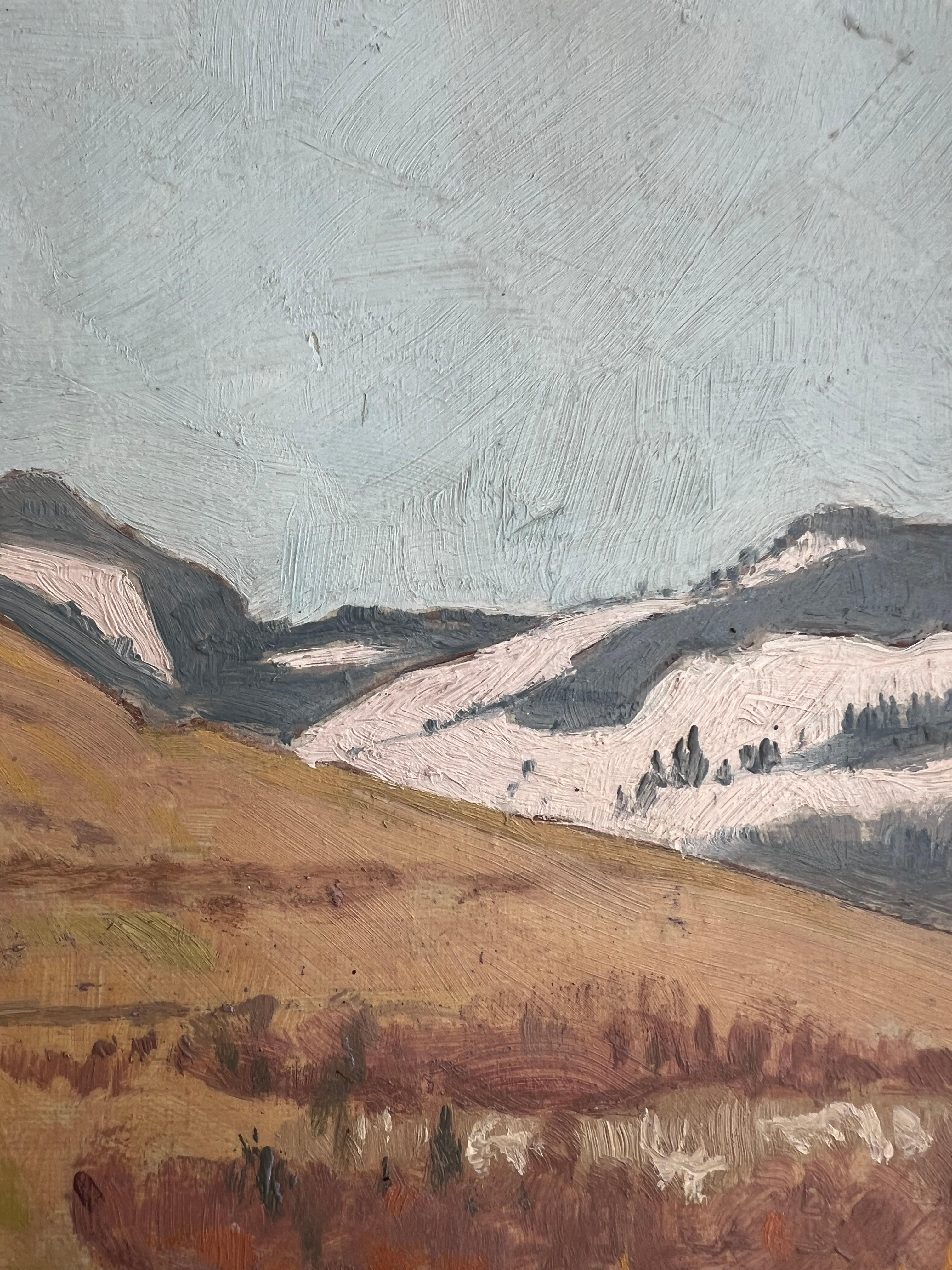 Paisaje rocoso en venta 1