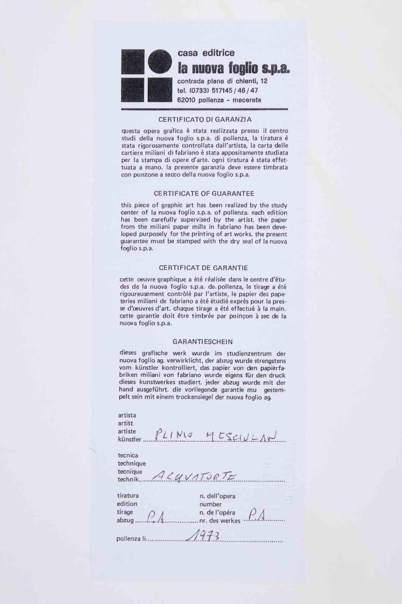 Composition abstraite - Lithographie originale de Plinio Mesciulam - 1973 en vente 1