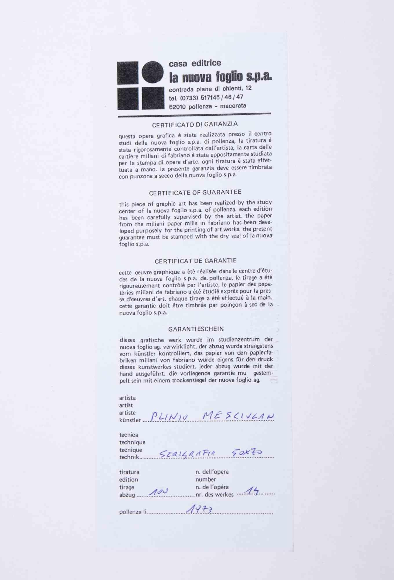 Abstract Composition - Original Screen Print by Plinio Mesciulam - 1973 For Sale 1