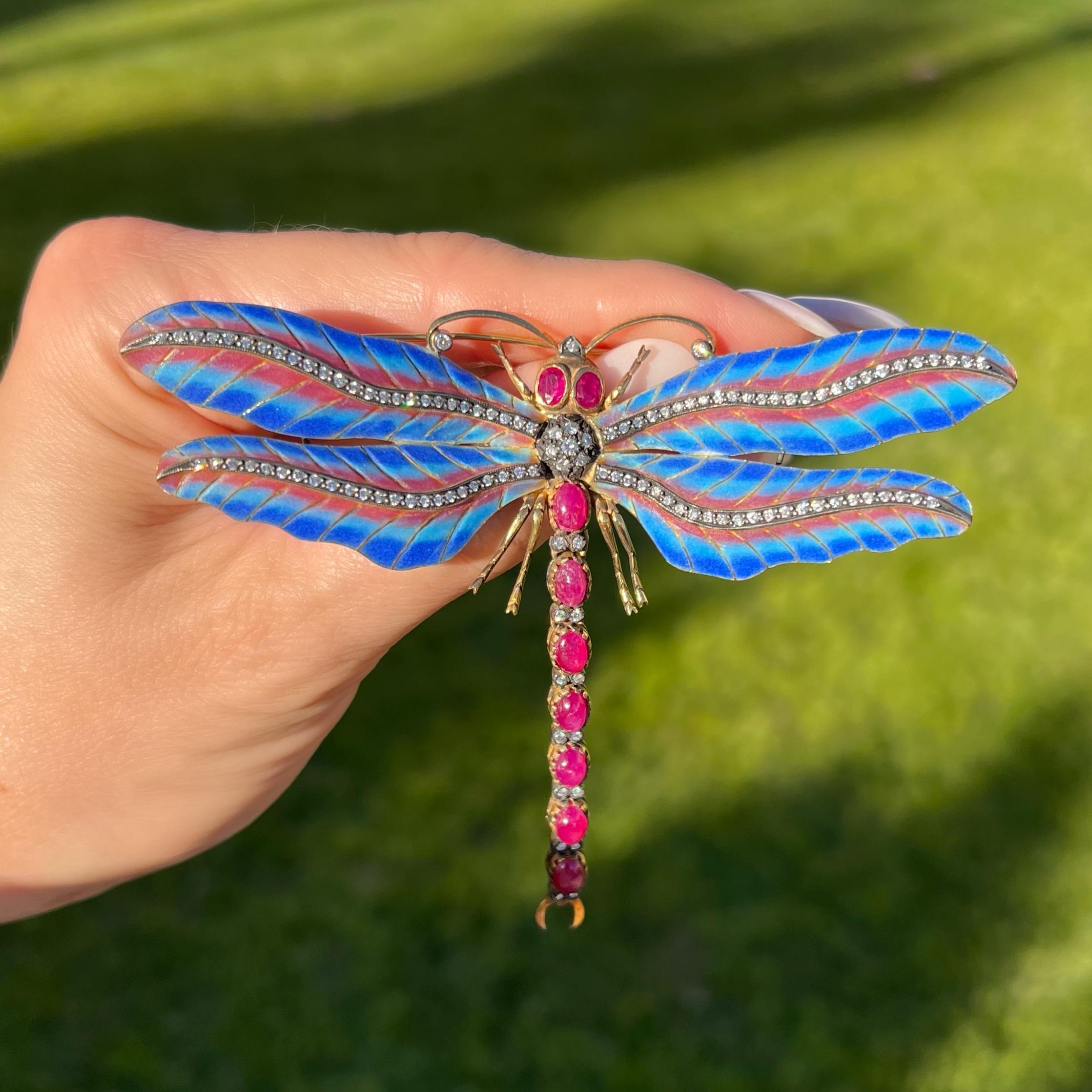 coraline dragonfly