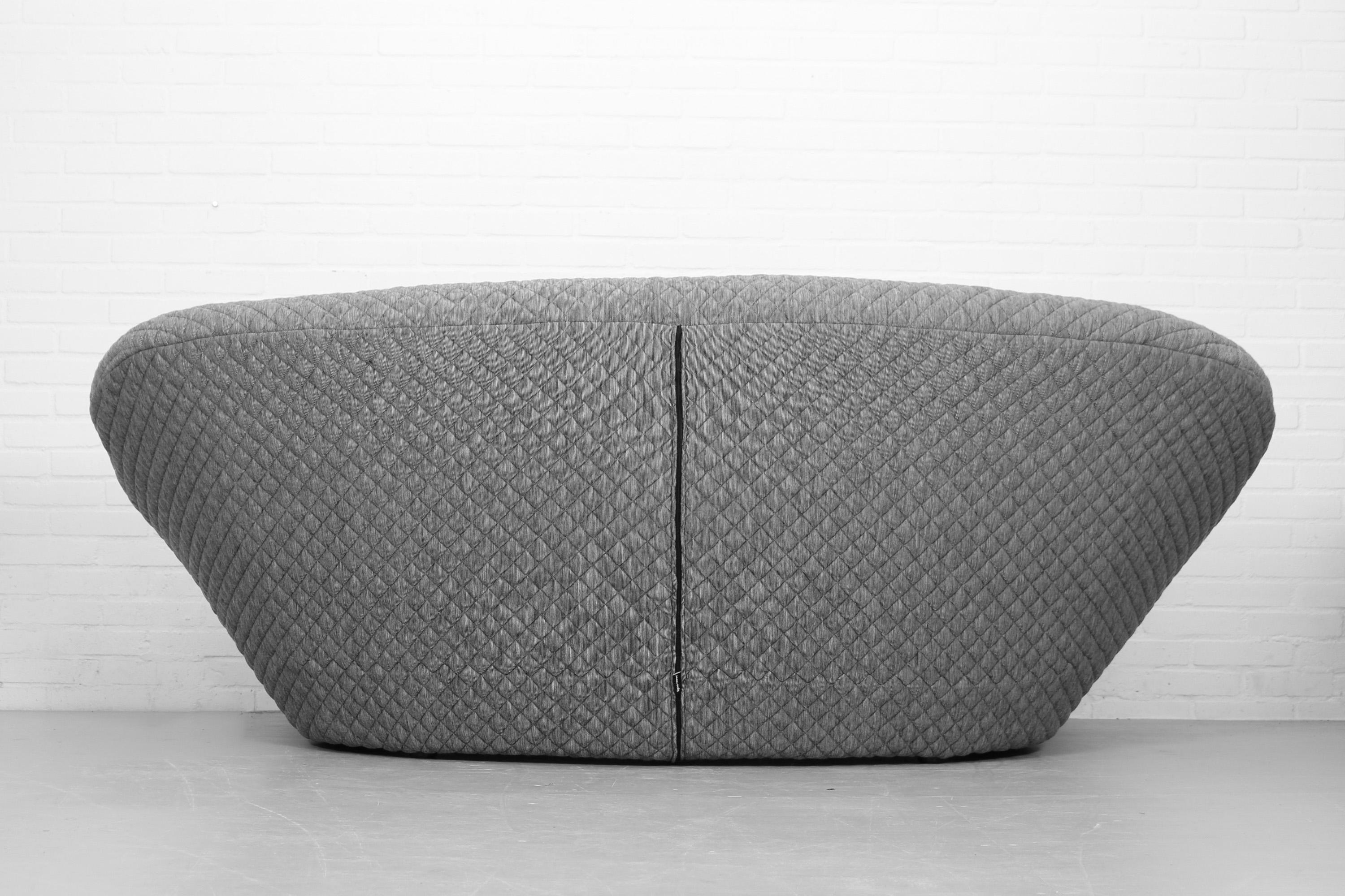 Metal Ploum 3 seater Sofa and Ottoman by E. & R. Bouroullec for Ligne Roset For Sale