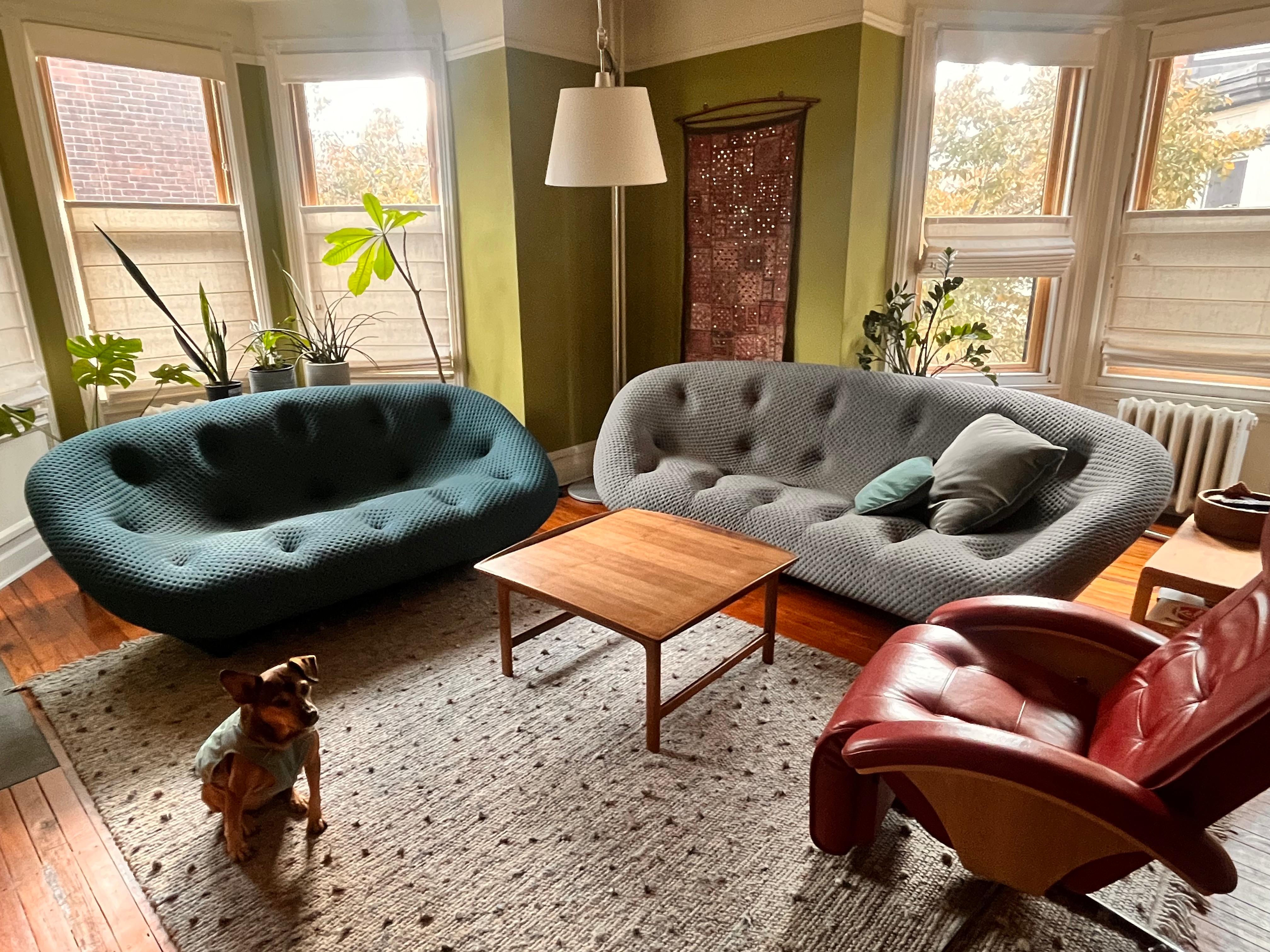 Ploum Loveseat by Ligne Roset, designed by Ronan and Erwan Bouroullec For Sale 3