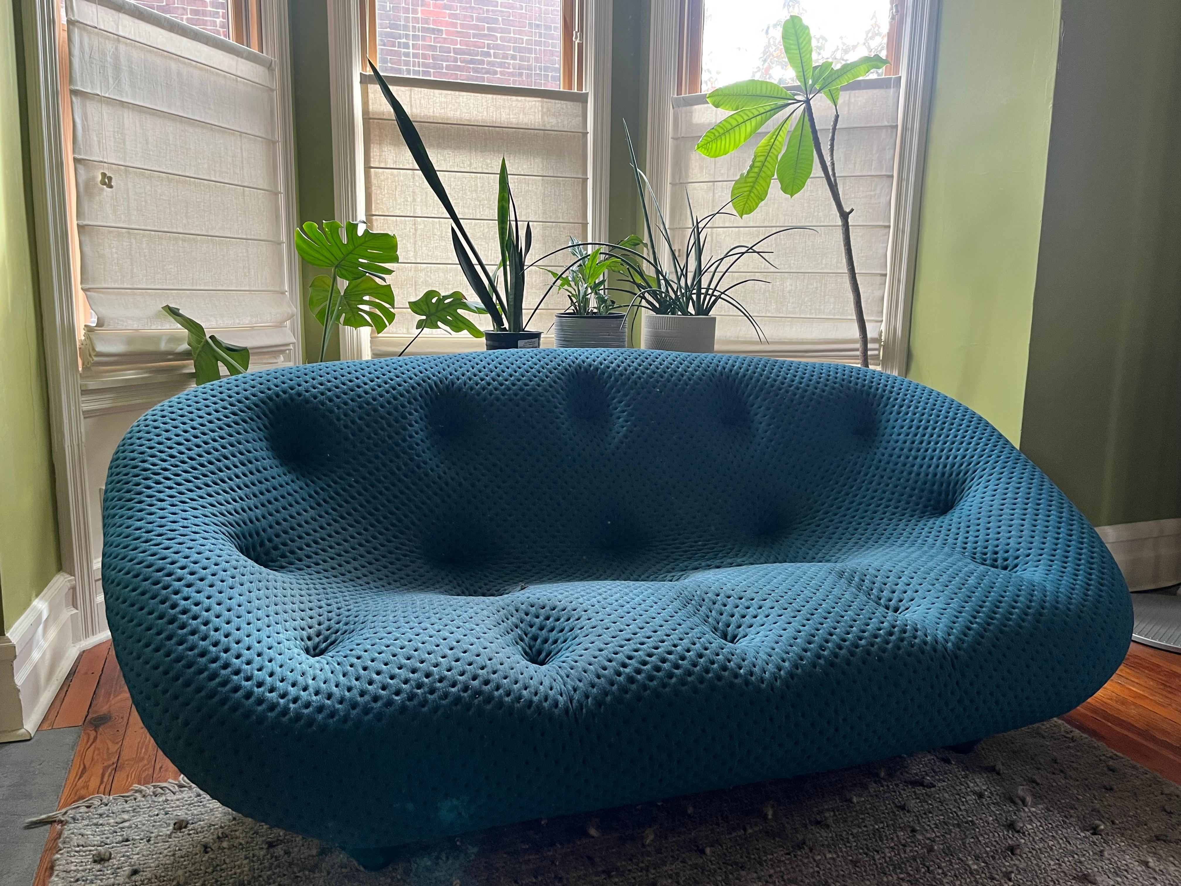 Ploum Sofa by Ronan and Erwan Bouroullec for Ligne Roset.  Ultra Comfy epitome of comfort!  Form and Function United!  Just 7 or 8 years old!  Looking for its new home! One small hole as shown in photos!