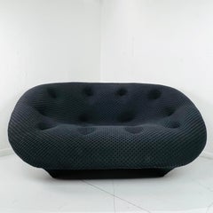 "Ploum" Loveseat by R. & E. Bouroullec for Ligne Roset
