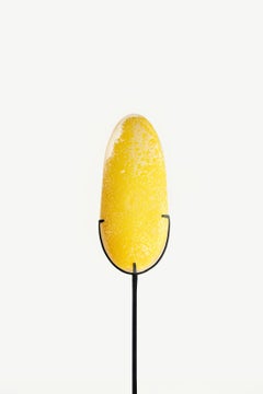 Sculpture en verre soufflé Plume de Xavier Le Normand