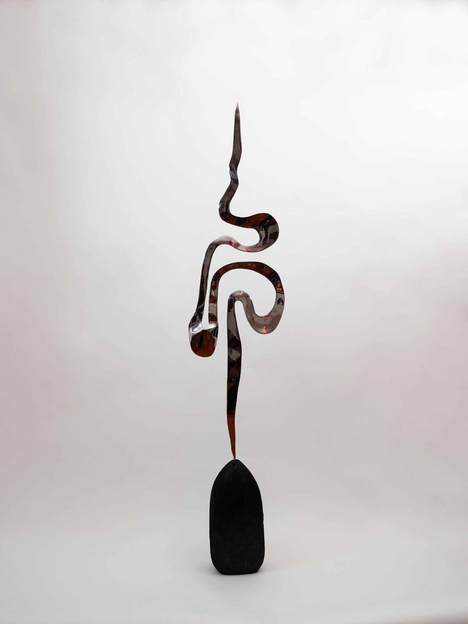 Plume Sculpture by Sol Bailey Barker

Charred Wood & Mirror Polished Stainless Steel

H 79