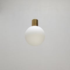 PLUnet Flush Mount Light