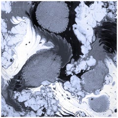 Plunge-Midnight Crow-Marble Printed Wallpaper