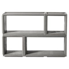 Plus Storage Module Combo 2S2M
