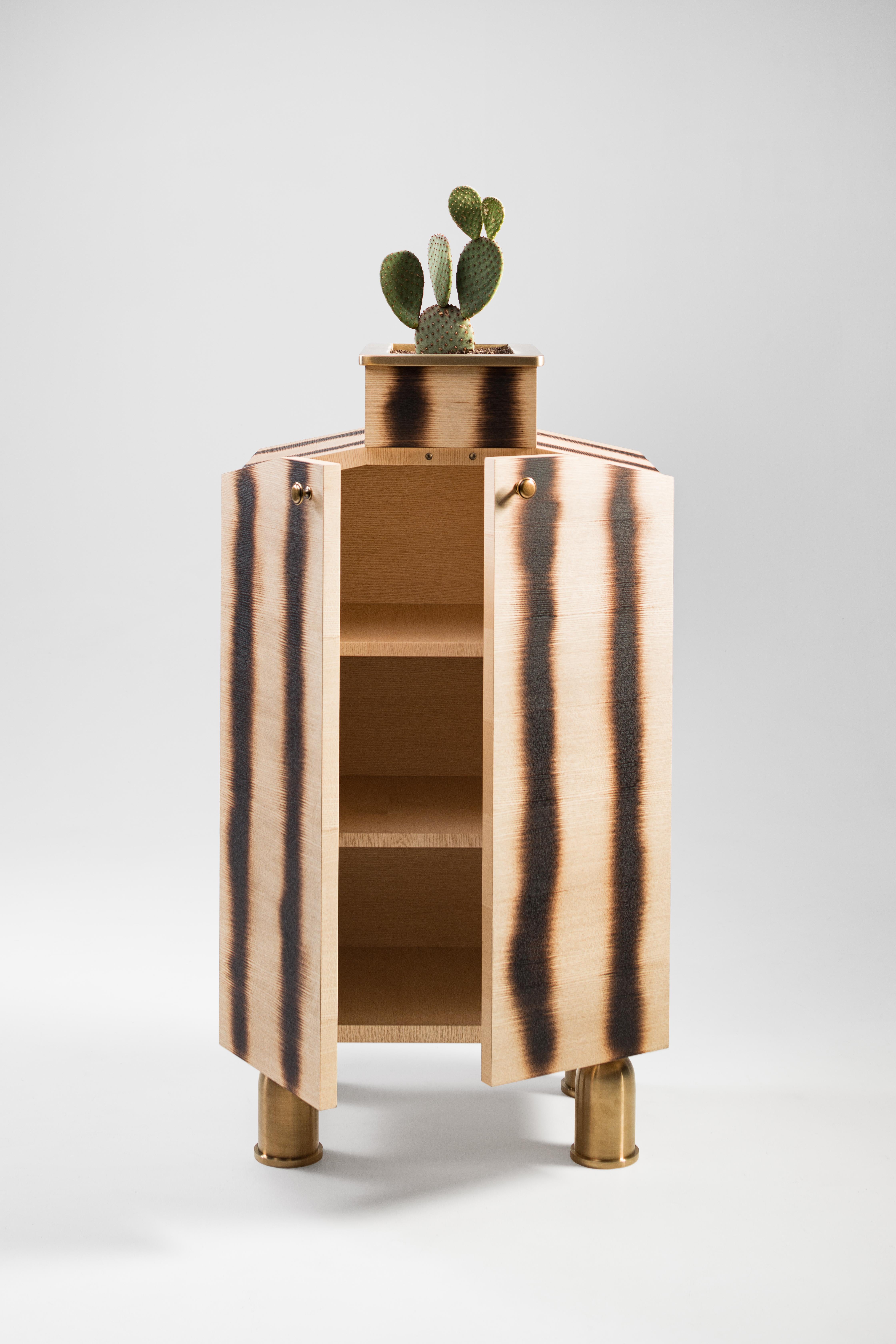 The cabinet from the BUGS collection is a bright example of emotional design. The cabinet is like a bug, which flew past the house, decided to visit. And folding his wings-doors, he settled in the room for a long time on sturdy brass legs. But the