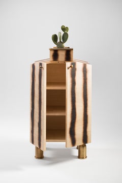 Bright Plywood Cabinet with Brass Legs, Bugs Collection