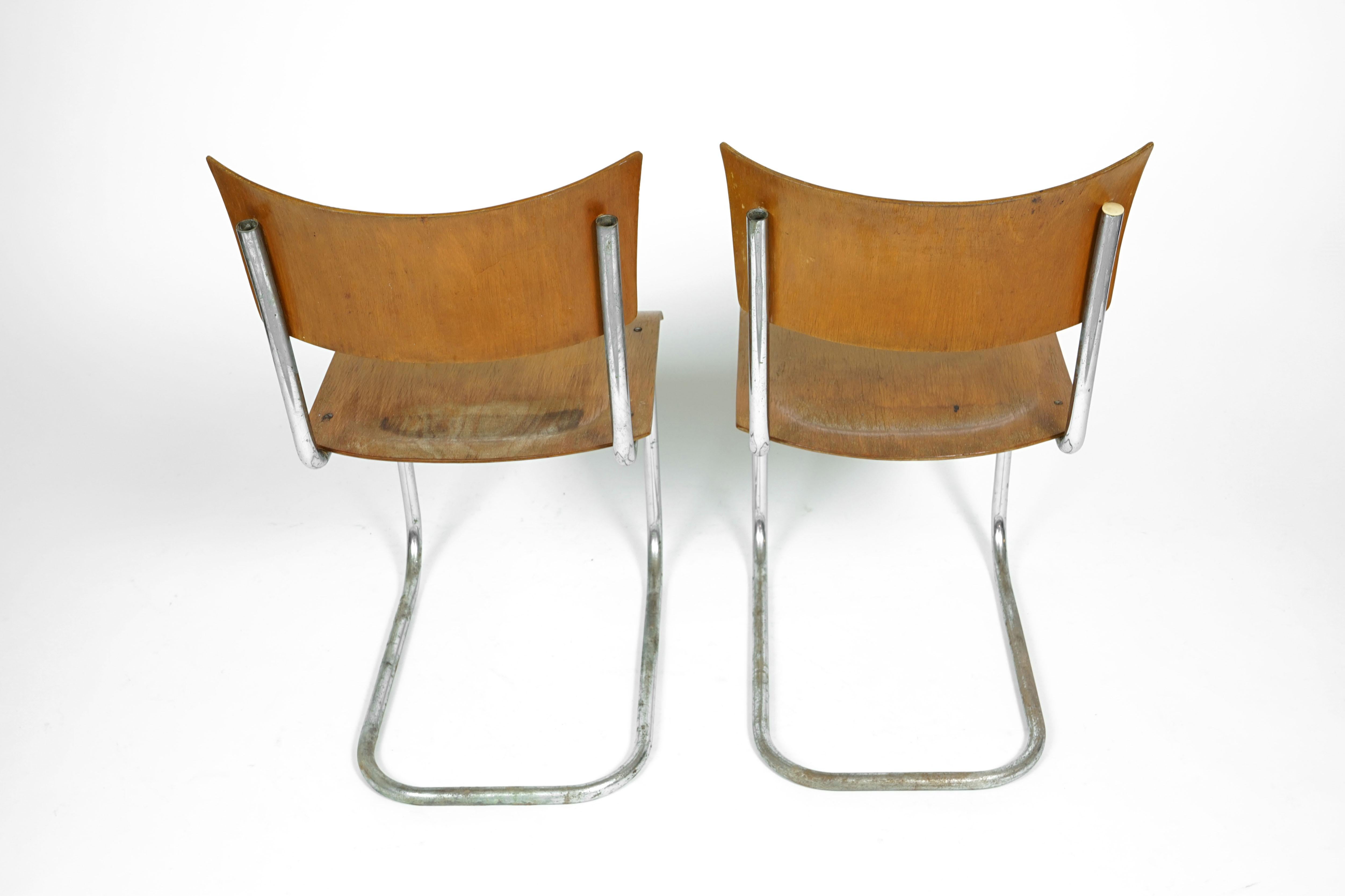 European Plywood Cantilever Tubular Chairs Mart Stam, 1920s For Sale
