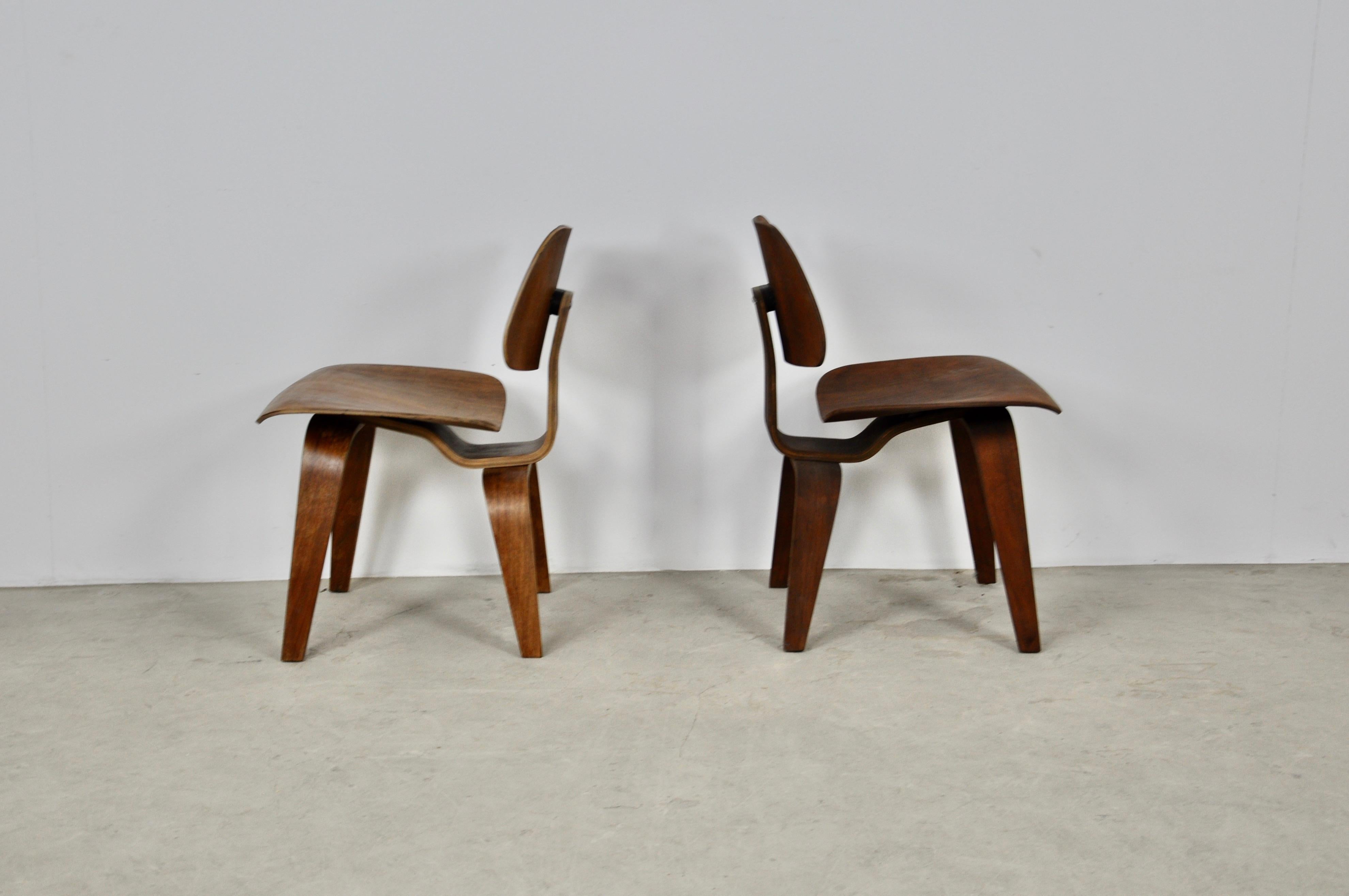 Mid-Century Modern Plywood Chair DCW by Charles Eames for Evans, 1950s