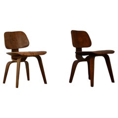 Retro Plywood Chair DCW by Charles Eames for Evans, 1950s