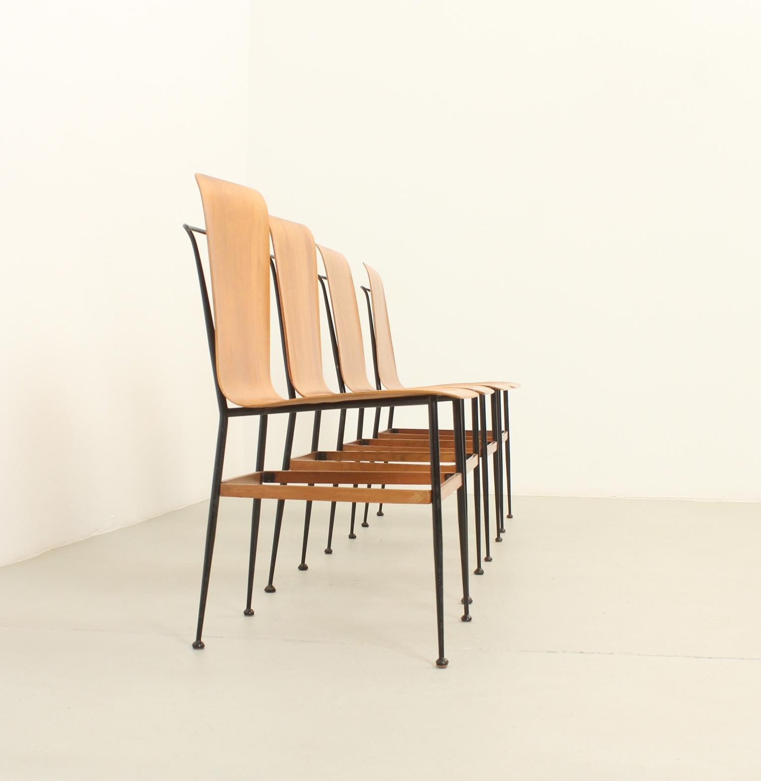 Plywood Dining Chairs by Carlo Ratti, Italy, 1950s For Sale 2